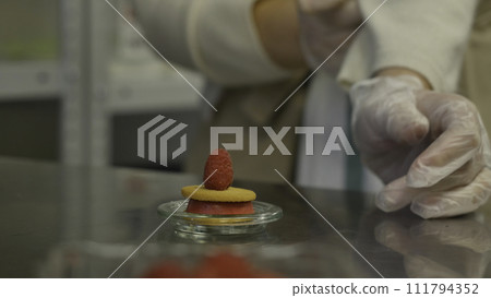 Waffle cookies with berries. Cooking delicious cookies with raspberries Waffle cookies with berries. Cooking delicious cookies with raspberries 111794352