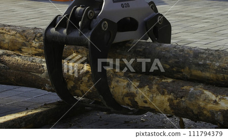 A forestry machine loads a log truck at the site landing. Forest machine down logs A forestry machine loads a log truck at the site landing. Forest machine down logs 111794379