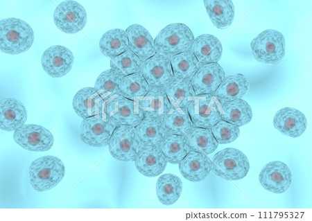 Image of multiple animal cells 111795327