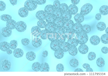 Image of multiple animal cells 111795334