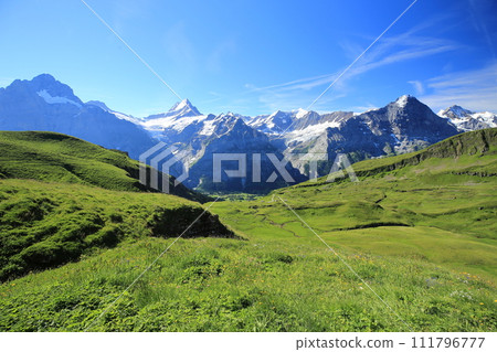 Panoramic view of the Alps from the mountain trail from First to Lake Bach (Canton of Bern, Switzerland) 111796777