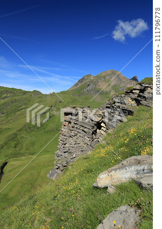 Aiming for Lake Bach from First under a clear sky (Canton of Bern, Switzerland) 111796778
