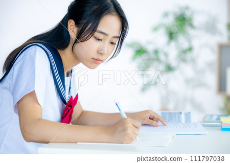 Junior high school student to study 111797038