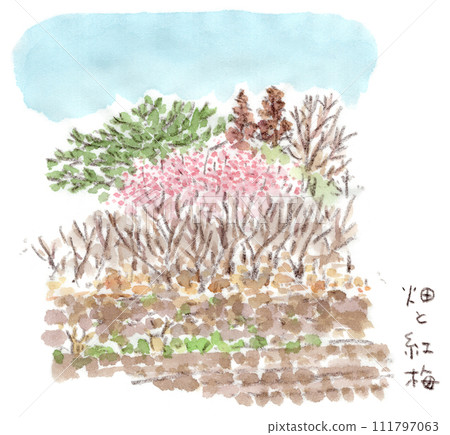 冬天到早春的風景，水彩畫的農舍田野上有紅梅花和森林。 111797063