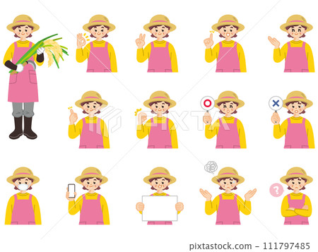 中年農婦臉部表情與手勢插畫素材集 111797485