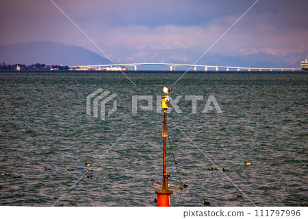 [Lake Biwa Scenery] Hamaotsu - Walking through Konan where the majestic clouds and the increasing cold of winter 111797996