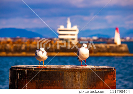 【琵琶湖風景】濱大津 - 漫步在雄偉的雲海和漸冷的冬季的甲南 【琵琶湖風景】濱大津 - 漫步在雄偉的雲海和漸冷的冬季的甲南 111798464