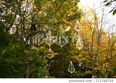 曙兒童森林公園（宮澤湖）的秋天 111798758