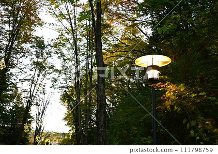 曙兒童森林公園（宮澤湖）的秋天 111798759