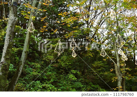 曙兒童森林公園（宮澤湖）的秋天 111798760