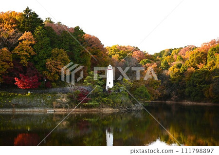 Autumn at Akebono Children's Forest Park (Lake Miyazawa) 111798897
