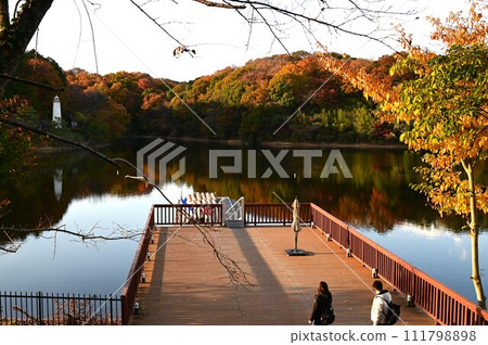 曙兒童森林公園（宮澤湖）的秋天 111798898