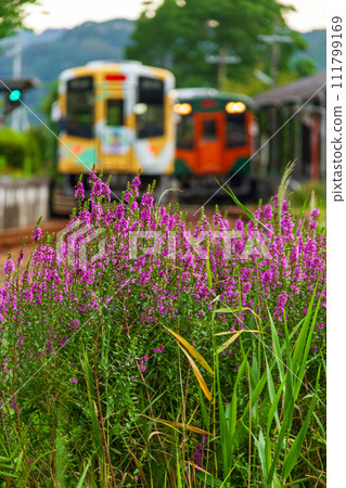 Ichinomiya, Mori-machi, Shuchi-gun, Shizuoka Prefecture Tenryu Hamanako Railway and scenery along the line Ichinomiya, Mori-machi, Shuchi-gun, Shizuoka Prefecture Tenryu Hamanako Railway and scenery along the line 111799169