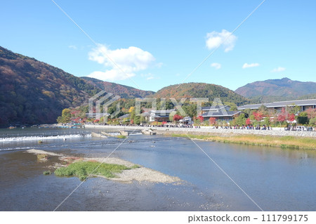 Arashiyama landscape autumn 111799175