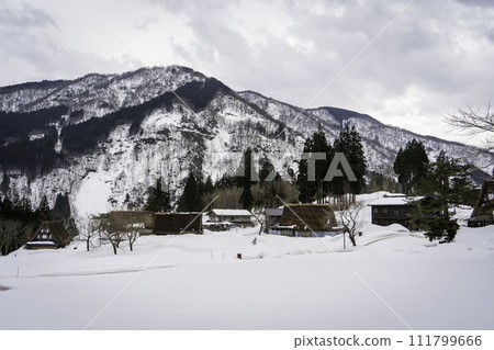 白川鄉被白雪覆蓋的村莊 白川鄉被白雪覆蓋的村莊 111799666