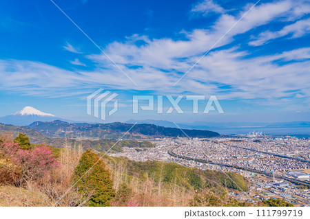 （靜岡縣）從梶原山公園看到的富士山，紅梅盛開 111799719
