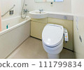 toilet in the modern home 111799834