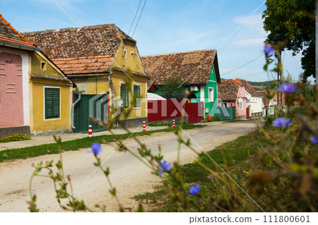 Traditional village of Transylvania 111800601