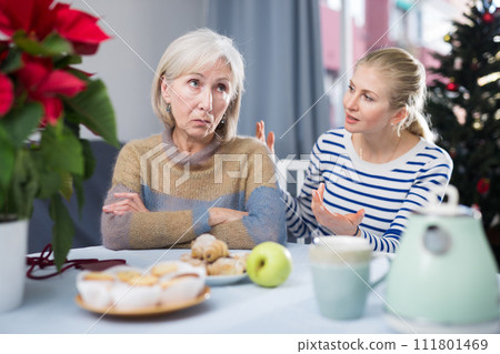 Adult daughter explains something to a mature dissatisfied mother 111801469