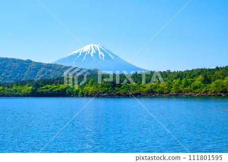 從西湖看到的富士山(5月) 從西湖看到的富士山(5月) 111801595