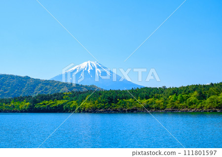 從西湖看到的富士山(5月) 從西湖看到的富士山(5月) 111801597
