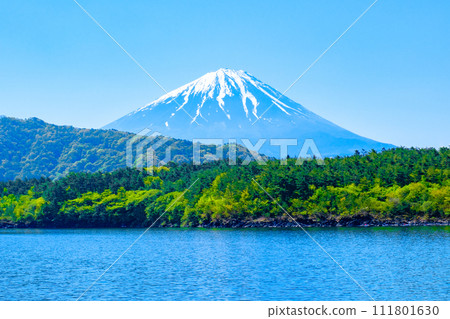 從西湖看到的富士山（5月） 111801630