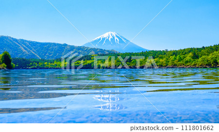 Mt. Fuji seen from Lake Saiko (May) 111801662
