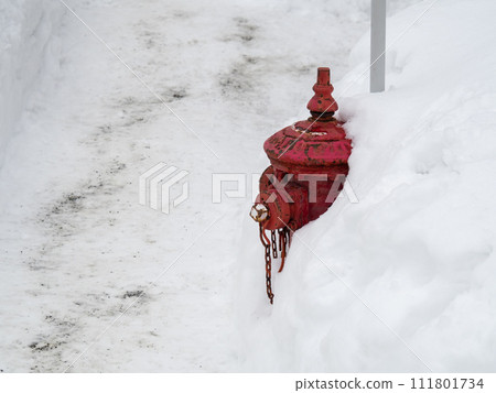 降雪和地上消防栓。 (北海道小樽市) 降雪和地上消防栓。 (北海道小樽市) 111801734