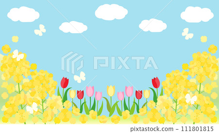 Spring hill card with rape blossoms, tulips, and blue sky, aspect ratio 16:9 version Spring hill card with rape blossoms, tulips, and blue sky, aspect ratio 16:9 version 111801815