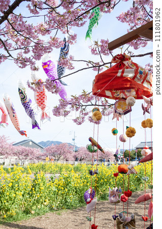Menmu田川油菜花櫻花節（愛知縣田原市） 111801962