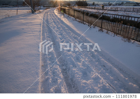 Snowy road bathed in the morning sun [Nagano Prefecture] 111801978