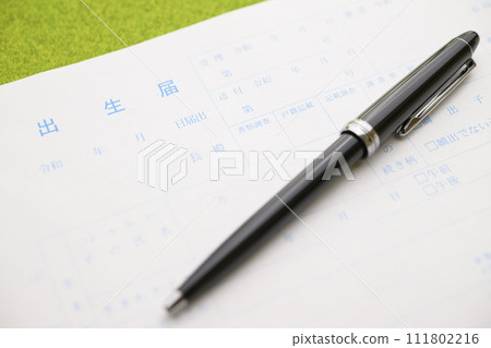 Birth registration (focus on the letters on the birth registration) Birth registration (focus on the letters on the birth registration) 111802216