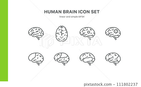 Human Brain Icon Set. Linear Symbols and Signs of Brain Lobes and Cognitive Functions, Brain Injury, Mental Health Concepts, Neurology Education. Isolated Vector Signs Human Brain Icon Set. Linear Symbols and Signs of Brain Lobes and Cognitive Functions, Brain Injury, Mental Health Concepts, Neurology Education. Isolated Vector Signs 111802237