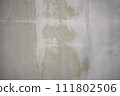 white wall with moss 111802506