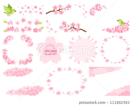 Cherry frame set 111802561