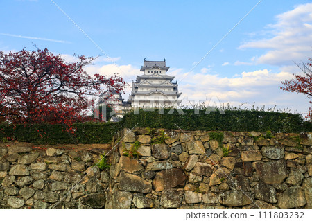 Autumn Himeji Castle in autumn leaves 111803232