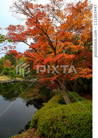 姬路秋季紅葉園 姬路秋季紅葉園 111803447
