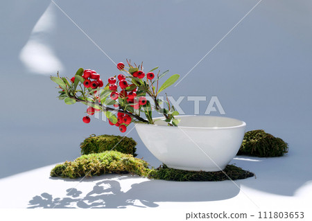 Red pyracanthus berries and green moss in a white bowl with a gray background Red pyracanthus berries and green moss in a white bowl with a gray background 111803653