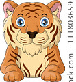 Cute tiger cartoon on white background 111803659