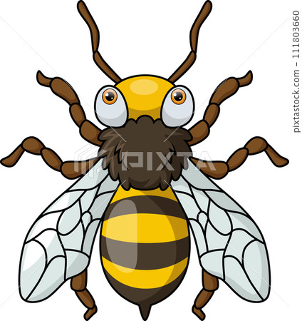Cute wasp cartoon on white background Cute wasp cartoon on white background 111803660