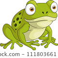 Cute frog cartoon on white background 111803661