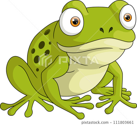 Cute frog cartoon on white background Cute frog cartoon on white background 111803661