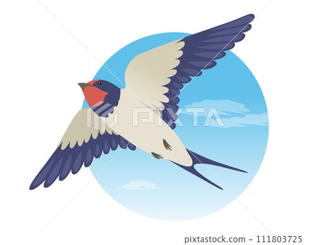 Swallow's one point material_vector illustration 111803725