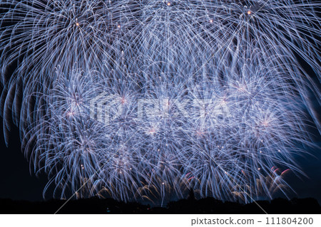 秋季煙火(鴻巢花火大會) 秋季煙火(鴻巢花火大會) 111804200