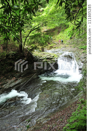 Ryuga jar（Akame 48瀑布）[三重縣名張市] 111805285