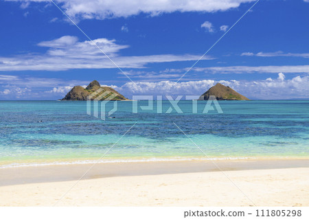【夏威夷】拉尼凱海灘風光⑧ 【夏威夷】拉尼凱海灘風光⑧ 111805298