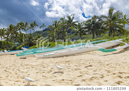【夏威夷】拉尼凱海灘風光⑨ 【夏威夷】拉尼凱海灘風光⑨ 111805299