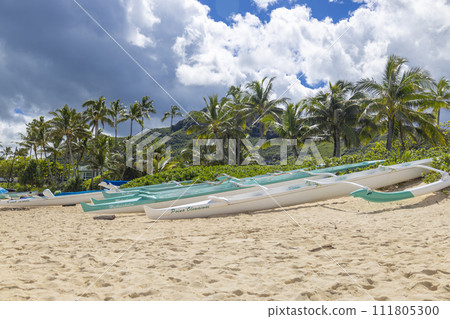 【夏威夷】拉尼凱海灘風光⑩ 【夏威夷】拉尼凱海灘風光⑩ 111805300
