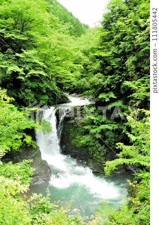 Takano Otaki (Koyasan Otaki) [Takano Town, Wakayama Prefecture] 111805442