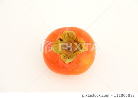 白色背景下拍攝的柿子 111805852